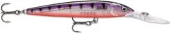 Rapala Down Deep Husky Jerk 10 Deep Diving Jerkbait -Fishing Sale Shop 12564593639479