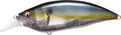 Megabass Big-M 4.0 Magnum Deep Diving Crankbait -Fishing Sale Shop 14412821102647