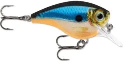 Rapala BX Big Brat 2 3/4 Inch Square Bill Crankbait -Fishing Sale Shop 31321538363481