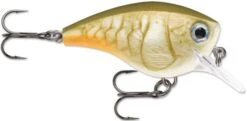 Rapala BX Big Brat 2 3/4 Inch Square Bill Crankbait -Fishing Sale Shop 31321538396249