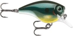 Rapala BX Big Brat 2 3/4 Inch Square Bill Crankbait -Fishing Sale Shop 31321538429017