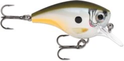 Rapala BX Big Brat 2 3/4 Inch Square Bill Crankbait -Fishing Sale Shop 31321538461785