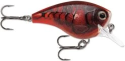 Rapala BX Big Brat 2 3/4 Inch Square Bill Crankbait -Fishing Sale Shop 31321538527321