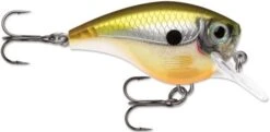 Rapala BX Big Brat 2 3/4 Inch Square Bill Crankbait -Fishing Sale Shop 31321538560089