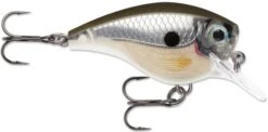 Rapala BX Big Brat 2 3/4 Inch Square Bill Crankbait -Fishing Sale Shop 31321538691161