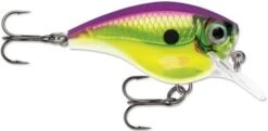 Rapala BX Big Brat 2 3/4 Inch Square Bill Crankbait -Fishing Sale Shop 31321538723929