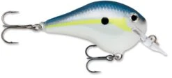 Rapala DT Fat 03 Shallow Square Bill Crankbait -Fishing Sale Shop 31333941182553