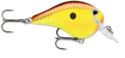 Rapala DT Fat 03 Shallow Square Bill Crankbait -Fishing Sale Shop 31333941215321