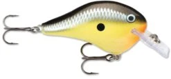 Rapala DT Fat 03 Shallow Square Bill Crankbait -Fishing Sale Shop 31333941280857