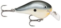 Rapala DT Fat 03 Shallow Square Bill Crankbait -Fishing Sale Shop 31333941313625