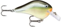 Rapala DT Fat 03 Shallow Square Bill Crankbait -Fishing Sale Shop 31333941379161