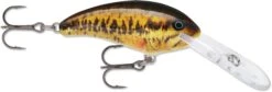 Rapala Shad Dancer SDD07 Deep Diving Crankbait -Fishing Sale Shop 31340105138265