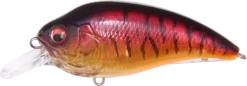 Megabass Super-Z Z-1 Medium Diving Crankbait -Fishing Sale Shop 31680779092057