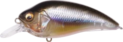 Megabass Super-Z Z-1 Medium Diving Crankbait -Fishing Sale Shop 31680779124825