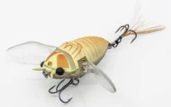 Chasebaits Ripple Cicada 1 3/4 Inch Wakebait Crawler -Fishing Sale Shop 32233146843225