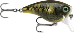Rapala BX Mid-Brat 05 Squarebill Crankbait -Fishing Sale Shop 39740178366553