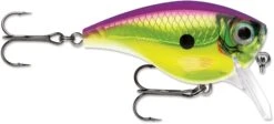 Rapala BX Mid-Brat 05 Squarebill Crankbait -Fishing Sale Shop 39740178432089
