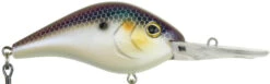 Berkley Dredger Deep Diving Crankbait Deeper Diving Models -Fishing Sale Shop 40325002985561