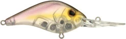 Berkley Dredger Deep Diving Crankbait Deeper Diving Models -Fishing Sale Shop 40325003182169