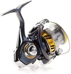 Daiwa Regal LT Spinning Reel 11 Daiwa Regal LT Spinning Reel -Fishing Sale Shop 418E3HhhrIL. AC