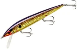 Smithwick Elite 8 Rogue 4 1/2 Inch Suspending Jerkbait -Fishing Sale Shop ADR4213