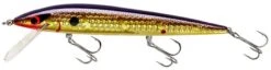 Smithwick Elite 8 Rogue 4 1/2 Inch Suspending Jerkbait -Fishing Sale Shop ADR4213 427dcaa6 8bc9 4645 9527 5e6203b63ad1