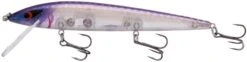 Smithwick Elite 8 Rogue 4 1/2 Inch Suspending Jerkbait -Fishing Sale Shop ADR4279