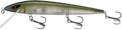 Smithwick Elite 8 Rogue 4 1/2 Inch Suspending Jerkbait -Fishing Sale Shop ADR4281