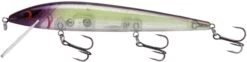 Smithwick Elite 8 Rogue 4 1/2 Inch Suspending Jerkbait -Fishing Sale Shop ADR4282