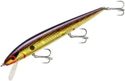 Smithwick Perfect 10 Rogue 5 1/2 Inch Deep Diving Suspending Jerkbait -Fishing Sale Shop ADR5213