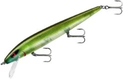 Smithwick Perfect 10 Rogue 5 1/2 Inch Deep Diving Suspending Jerkbait -Fishing Sale Shop ADR5281