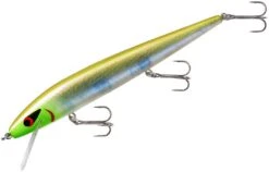 Smithwick Perfect 10 Rogue 5 1/2 Inch Deep Diving Suspending Jerkbait -Fishing Sale Shop ADR5283