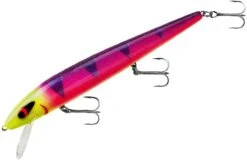 Smithwick Perfect 10 Rogue 5 1/2 Inch Deep Diving Suspending Jerkbait -Fishing Sale Shop ADR5291