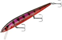 Smithwick Perfect 10 Rogue 5 1/2 Inch Deep Diving Suspending Jerkbait -Fishing Sale Shop ADR5294