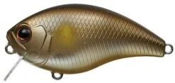 Evergreen International CH-1 Waking Crankbait -Fishing Sale Shop Ayu a3f83c93 32e2 44fc 9ac7 d61fadd3fe89