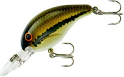 Bandit 200 Series Medium Diving Crankbait -Fishing Sale Shop BDT201