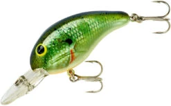 Bandit 200 Series Medium Diving Crankbait -Fishing Sale Shop BDT2B38