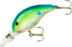 Bandit 200 Series Medium Diving Crankbait -Fishing Sale Shop BDT2D01