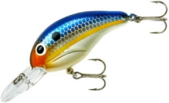 Bandit 200 Series Medium Diving Crankbait -Fishing Sale Shop BDT2D62
