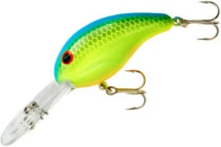 Bandit 300 Series Deep Diving Crankbait -Fishing Sale Shop BDT336