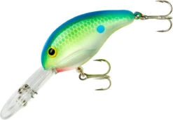 Bandit 300 Series Deep Diving Crankbait -Fishing Sale Shop BDT3D01