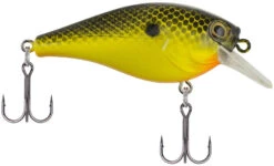 Berkley SquareBull 2 3/8 Inch Shallow Squarebill Crankbait -Fishing Sale Shop Berkley SquareBull Black Chartreuse 2017 alt2 2000