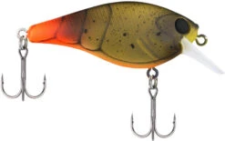 Berkley SquareBull 2 3/8 Inch Shallow Squarebill Crankbait -Fishing Sale Shop Berkley Squarebull FiretailGreenCraw 55 alt2 2000