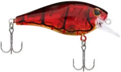 Berkley SquareBull 2 3/8 Inch Shallow Squarebill Crankbait -Fishing Sale Shop Berkley Squarebull GhostRedCraw 35 alt2 2000