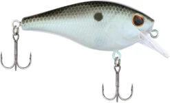 Berkley SquareBull 2 3/8 Inch Shallow Squarebill Crankbait -Fishing Sale Shop Berkley Squarebull GreenShad 35 alt2 2000