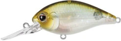 Evergreen International CR-10 Deep Diving Crankbait -Fishing Sale Shop Evergreen CR 420 5203f195 bbca 4378 b397 b08b3a4195de