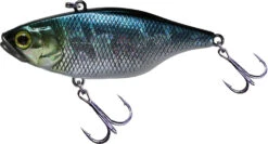 Jackall TN 50/60/70 Lipless Crankbait -Fishing Sale Shop FishJackall TN HL AURORA BLACK primary
