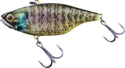 Jackall TN 50/60/70 Lipless Crankbait -Fishing Sale Shop FishJackall TN RT HOLO BLUEGILL primary