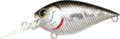 Lucky Craft LC 0.7 DR Deep Running Crankbait -Fishing Sale Shop LC 0 7DR 419BPGSN