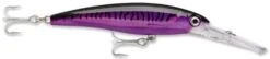 Rapala X-Rap Magnum 15 Big Game Slash Bait 29 Rapala X-Rap Magnum 15 Big Game Slash Bait -Fishing Sale Shop Purple Mackerel d00f71db 7f8d 4089 b329 a26b6673365f